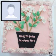Birthday Cake With Photo And Name Editor Online